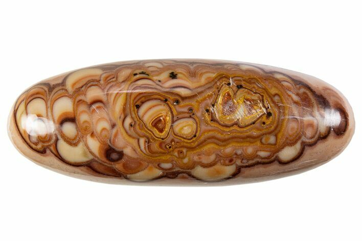 Polished Rolling Hills Dolomite Ellipsoid - Mexico #341989